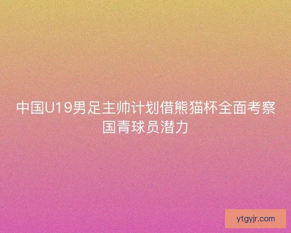 中国U19男足主帅计划借熊猫杯全面考察国青球员潜力